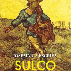 Sulco