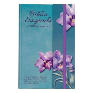 Bíblia - Panoramica - Orquidea