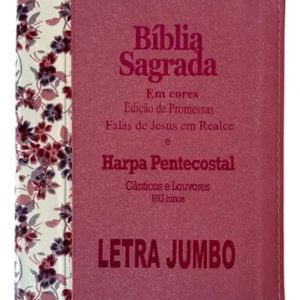 Bíblia L. jumbo -Lady com Harpa