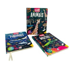 Lanterna - Procure e encontre - Animais - Tubarões - Insetos